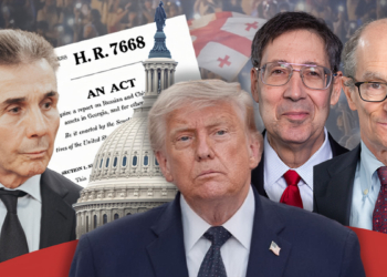 Congress Sends a Message on Georgia. Former U.S. Diplomats Say Tbilisi Misread the Trump Administration – Independence Avenue Media